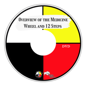 Overview of the Medicine Wheel and 12 Steps